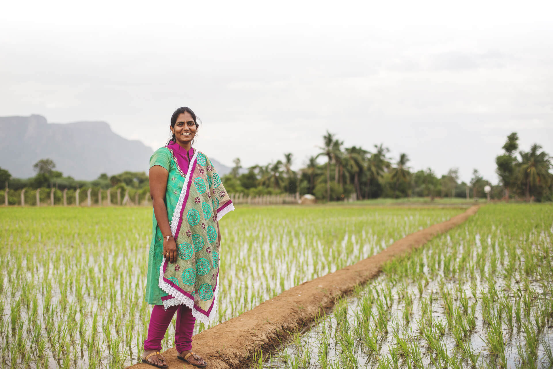 A smiling woman in a churidar stands in front of a paddy field that stretches to the horizon. Palm trees grow in the background and a mountainous landscape shows through clouds that sweeps across the sky.