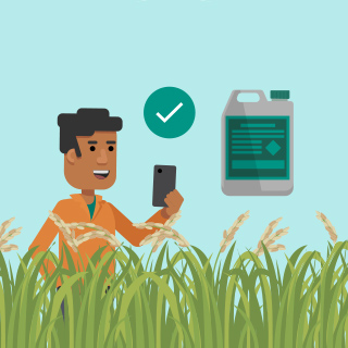 An illustration of a farmer standing in a rice field and scanning his crops for diseases with the Plantix app on his phone. Plantix recommends him a product to control this problem.
